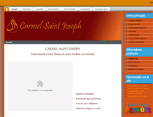 Tablet Screenshot of carmelsaintjoseph.edu.lb